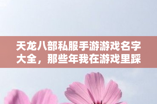 那些年我在游戏里踩过的坑与摸出的野路子天龙八部私服图片