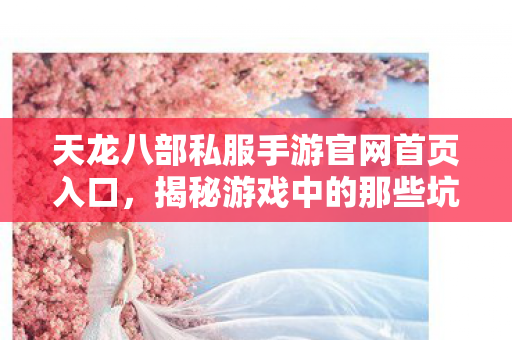 揭秘游戏中的那些坑与野路子天龙八部私服图片