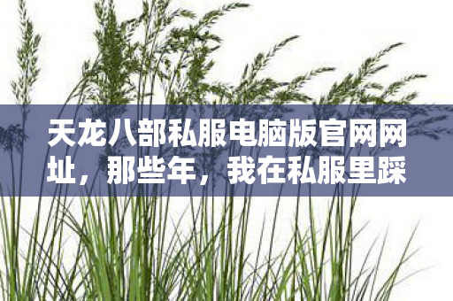 我在私服里踩过的坑与摸出的野路子天龙八部私服图片