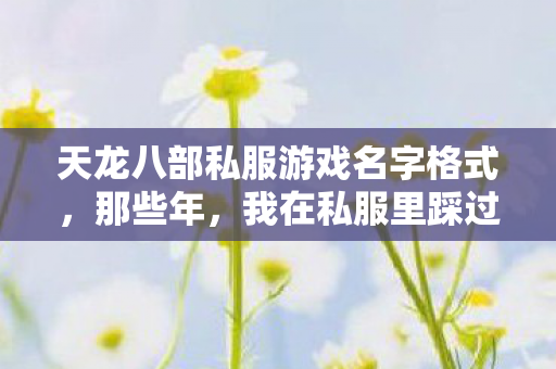 我在私服里踩过的坑与摸出的野路子天龙私服图片