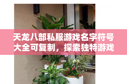 天龙八部私服游戏名字符号大全可复制图片