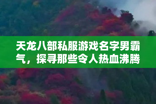 探寻那些令人热血沸腾的角色与玩法天龙八部私服图片