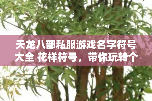 天龙八部私服游戏名字符号大全 花样符号图片