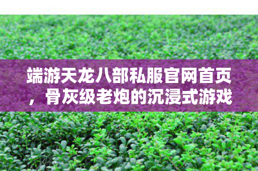 端游天龙八部私服官网首页,骨灰级老炮的沉浸式游戏传奇天龙私服 端游天龙八部私服官网首页,骨灰级老炮的沉浸式游戏传奇天龙私服