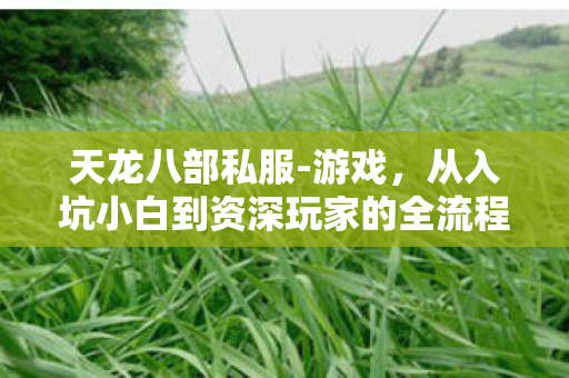 天龙八部私服-游戏,从入坑小白到资深玩家的全流程揭秘天龙私服 天龙八部私服-游戏,从入坑小白到资深玩家的全流程揭秘天龙私服