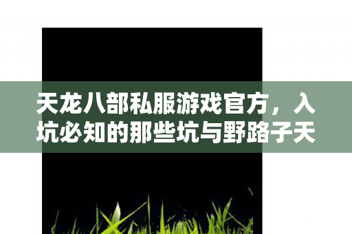 天龙八部私服游戏官方,入坑必知的那些坑与野路子天龙八部私服 天龙八部私服游戏官方,入坑必知的那些坑与野路子天龙八部私服