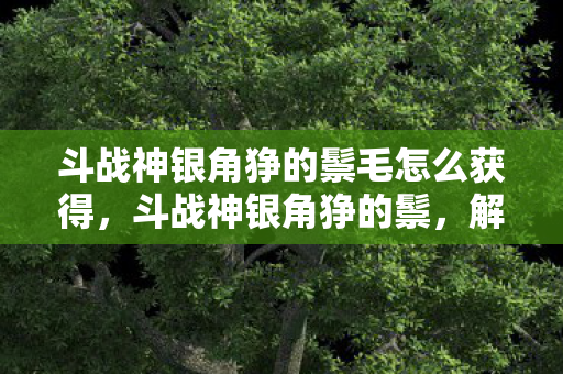 斗战神银角狰的鬃毛怎么获得，斗战神银角狰的鬃，解锁古老神话的传奇鬃毛