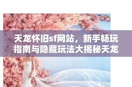 天龙怀旧sf网站,新手畅玩指南与隐藏玩法大揭秘天龙私服 天龙怀旧sf网站,新手畅玩指南与隐藏玩法大揭秘天龙私服