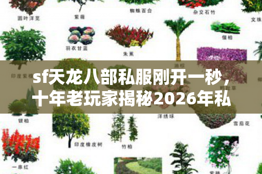 sf天龙八部私服刚开一秒,十年老玩家揭秘2026年私服圈最新玩法与避坑指南天龙八部私服 sf天龙八部私服刚开一秒,十年老玩家揭秘2026年私服圈最新玩法与避坑指南天龙八部私服