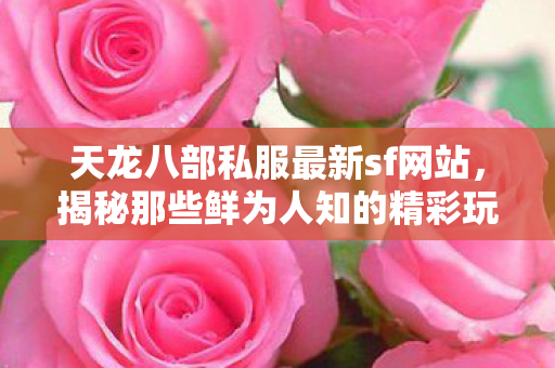 天龙八部私服最新sf网站,揭秘那些鲜为人知的精彩玩法天龙八部私服 天龙八部私服最新sf网站,揭秘那些鲜为人知的精彩玩法天龙八部私服