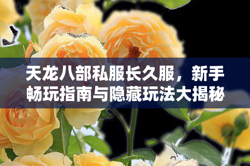 天龙八部私服长久服,新手畅玩指南与隐藏玩法大揭秘天龙私服 天龙八部私服长久服,新手畅玩指南与隐藏玩法大揭秘天龙私服