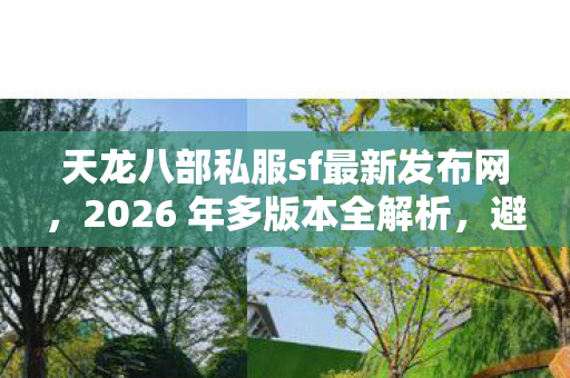 天龙八部私服sf最新发布网,2026 年多版本全解析,避坑指南与疑问解答天龙私服 天龙八部私服sf最新发布网,2026 年多版本全解析,避坑指南与疑问解答天龙私服