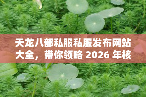 天龙八部私服私服发布网站大全,带你领略 2026 年核心玩法的实用指南天龙八部私服 天龙八部私服私服发布网站大全,带你领略 2026 年核心玩法的实用指南天龙八部私服