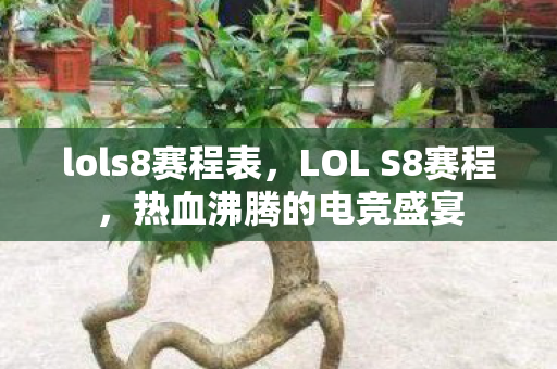 lols8赛程表，LOL S8赛程，热血沸腾的电竞盛宴