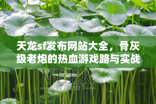 天龙sf发布网站大全,骨灰级老炮的热血游戏路与实战秘籍天龙私服 天龙sf发布网站大全,骨灰级老炮的热血游戏路与实战秘籍天龙私服