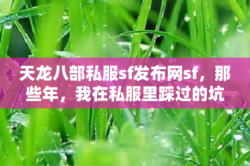 天龙八部私服sf发布网sf,那些年,我在私服里踩过的坑与摸出的野路子天龙私服 天龙八部私服sf发布网sf,那些年,我在私服里踩过的坑与摸出的野路子天龙私服
