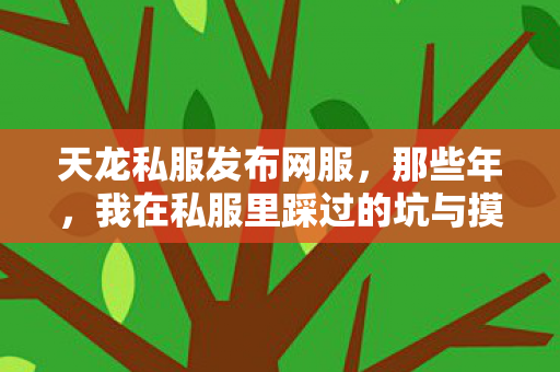 天龙私服发布网服,那些年,我在私服里踩过的坑与摸出的野路子天龙八部私服 天龙私服发布网服,那些年,我在私服里踩过的坑与摸出的野路子天龙八部私服