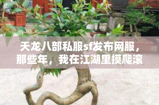 天龙八部私服sf发布网服,那些年,我在江湖里摸爬滚打的爱恨情仇天龙八部私服 天龙八部私服sf发布网服,那些年,我在江湖里摸爬滚打的爱恨情仇天龙八部私服