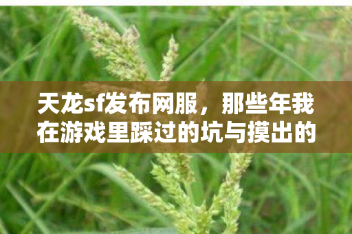 天龙sf发布网服,那些年我在游戏里踩过的坑与摸出的野路子天龙八部私服 天龙sf发布网服,那些年我在游戏里踩过的坑与摸出的野路子天龙八部私服