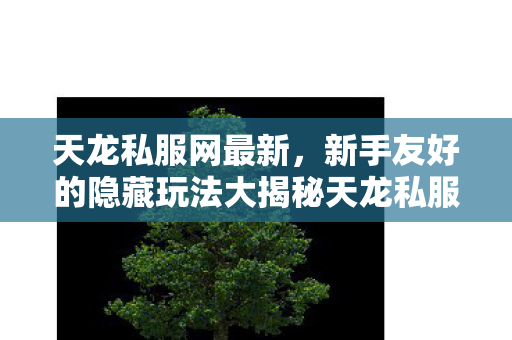 天龙私服网最新,新手友好的隐藏玩法大揭秘天龙私服 天龙私服网最新,新手友好的隐藏玩法大揭秘天龙私服
