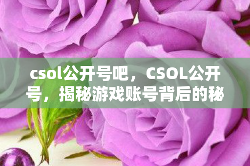 csol公开号吧,CSOL公开号,揭秘游戏账号背后的秘密 csol公开号吧,CSOL公开号,揭秘游戏账号背后的秘密