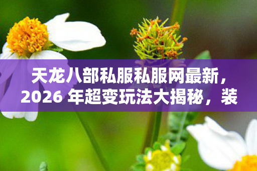 天龙八部私服私服网最新,2026 年超变玩法大揭秘,装备技能全解析!天龙八部私服 天龙八部私服私服网最新,2026 年超变玩法大揭秘,装备技能全解析!天龙八部私服