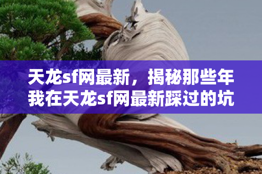 天龙sf网最新,揭秘那些年我在天龙sf网最新踩过的坑与摸出的野路子天龙私服 天龙sf网最新,揭秘那些年我在天龙sf网最新踩过的坑与摸出的野路子天龙私服