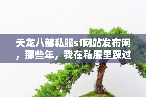 天龙八部私服sf网站发布网,那些年,我在私服里踩过的坑与摸出的野路子天龙私服 天龙八部私服sf网站发布网,那些年,我在私服里踩过的坑与摸出的野路子天龙私服