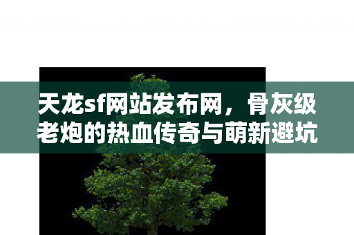 天龙sf网站发布网,骨灰级老炮的热血传奇与萌新避坑指南天龙八部私服 天龙sf网站发布网,骨灰级老炮的热血传奇与萌新避坑指南天龙八部私服