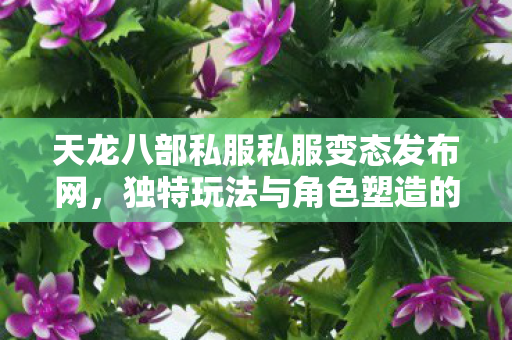 独特玩法与角色塑造的极致体验天龙私服图片