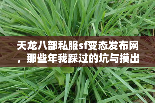 天龙八部私服sf变态发布网,那些年我踩过的坑与摸出的野路子 天龙八部私服sf变态发布网,那些年我踩过的坑与摸出的野路子