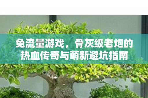 免流量游戏,骨灰级老炮的热血传奇与萌新避坑指南 免流量游戏,骨灰级老炮的热血传奇与萌新避坑指南