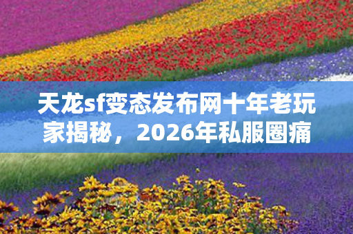 天龙sf变态发布网十年老玩家揭秘,2026年私服圈痛点与解决方案大公开 天龙sf变态发布网十年老玩家揭秘,2026年私服圈痛点与解决方案大公开