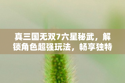 真三国无双7六星秘武,解锁角色超强玩法,畅享独特游戏体验 真三国无双7六星秘武,解锁角色超强玩法,畅享独特游戏体验