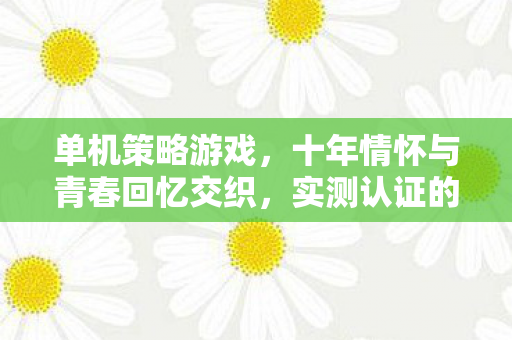 单机策略游戏,十年情怀与青春回忆交织,实测认证的避坑指南来了! 单机策略游戏,十年情怀与青春回忆交织,实测认证的避坑指南来了!