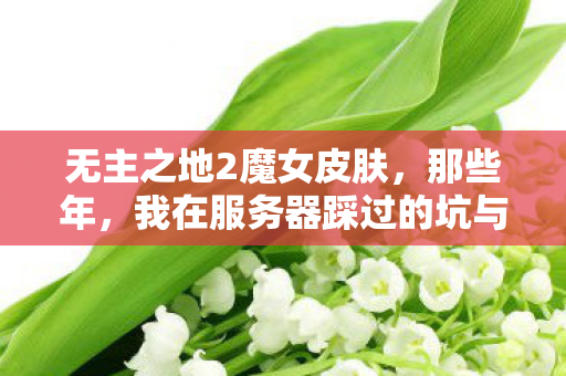 无主之地2魔女皮肤,那些年,我在服务器踩过的坑与摸出的野路子 无主之地2魔女皮肤,那些年,我在服务器踩过的坑与摸出的野路子
