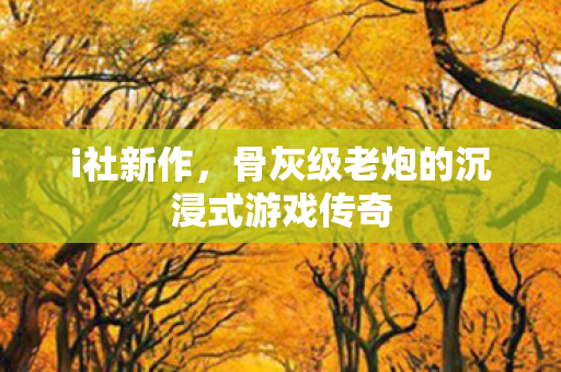 i社新作,骨灰级老炮的沉浸式游戏传奇 i社新作,骨灰级老炮的沉浸式游戏传奇
