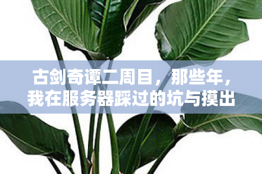 古剑奇谭二周目,那些年,我在服务器踩过的坑与摸出的野路子 古剑奇谭二周目,那些年,我在服务器踩过的坑与摸出的野路子