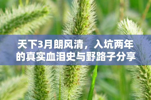 天下3月朗风清,入坑两年的真实血泪史与野路子分享 天下3月朗风清,入坑两年的真实血泪史与野路子分享