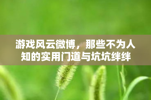 游戏风云微博,那些不为人知的实用门道与坑坑绊绊 游戏风云微博,那些不为人知的实用门道与坑坑绊绊
