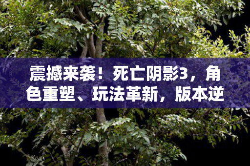 震撼来袭!死亡阴影3,角色重塑、玩法革新,版本逆袭大揭秘 震撼来袭!死亡阴影3,角色重塑、玩法革新,版本逆袭大揭秘