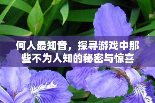 探寻游戏中那些不为人知的秘密与惊喜图片