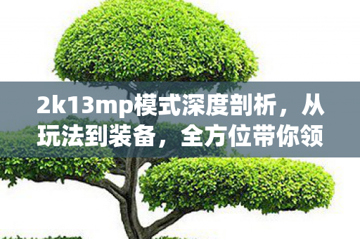 2k13mp模式深度剖析,从玩法到装备,全方位带你领略游戏魅力 2k13mp模式深度剖析,从玩法到装备,全方位带你领略游戏魅力