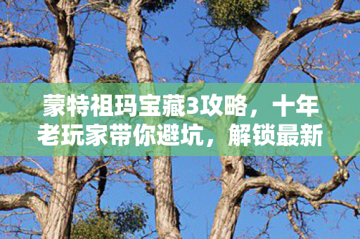 蒙特祖玛宝藏3攻略,十年老玩家带你避坑,解锁最新私服玩法 蒙特祖玛宝藏3攻略,十年老玩家带你避坑,解锁最新私服玩法