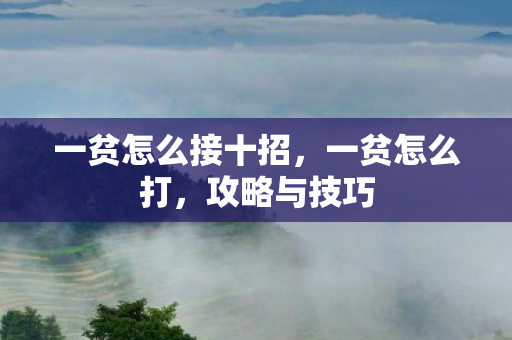 一贫怎么接十招，一贫怎么打，攻略与技巧