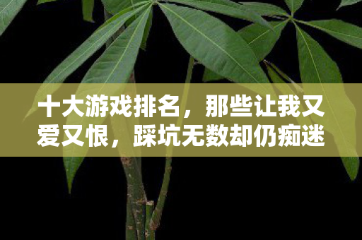 十大游戏排名,那些让我又爱又恨,踩坑无数却仍痴迷的奇幻世界 十大游戏排名,那些让我又爱又恨,踩坑无数却仍痴迷的奇幻世界