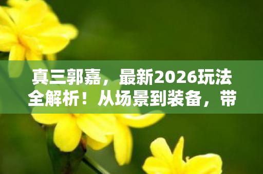 真三郭嘉,最新2026玩法全解析!从场景到装备,带你避坑拿第一 真三郭嘉,最新2026玩法全解析!从场景到装备,带你避坑拿第一