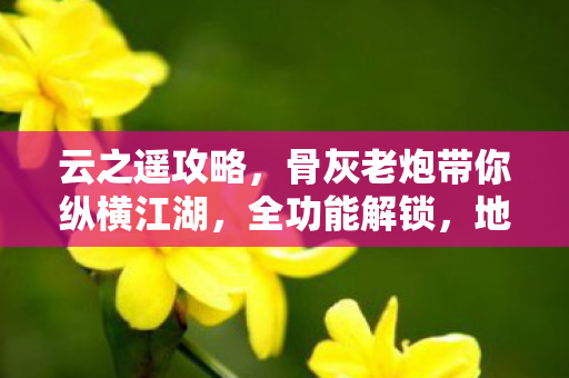 云之遥攻略,骨灰老炮带你纵横江湖,全功能解锁,地图闭着眼走,PK乱杀! 云之遥攻略,骨灰老炮带你纵横江湖,全功能解锁,地图闭着眼走,PK乱杀!