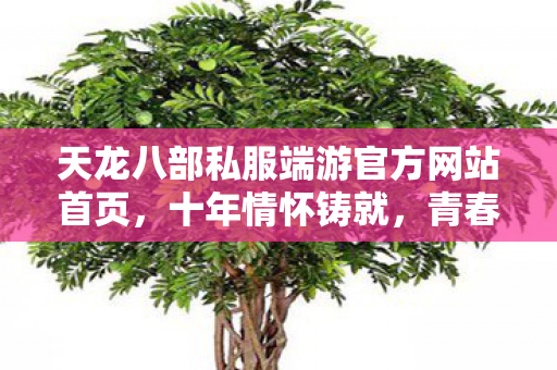 天龙八部私服端游官方网站首页图片