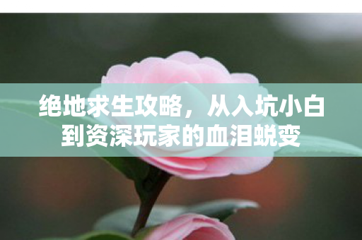 绝地求生攻略,从入坑小白到资深玩家的血泪蜕变 绝地求生攻略,从入坑小白到资深玩家的血泪蜕变